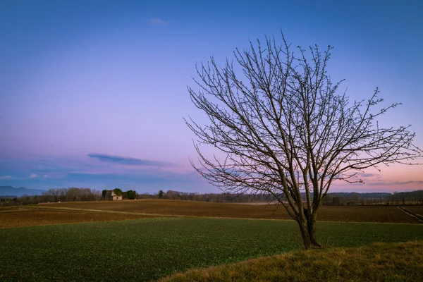 Granja abandonada en el campo —  Fotos de Stock