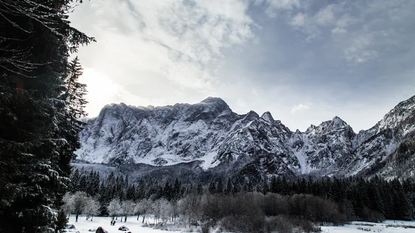 Der erste Schnee am Berg — Stockfoto