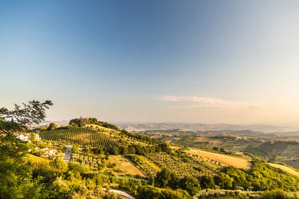 Sunset in the italian countryside — Stock Photo, Image