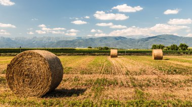 saman balya alanları, İtalya