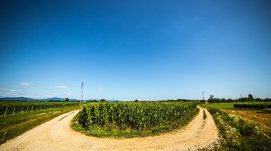 karayolu ile alanlar