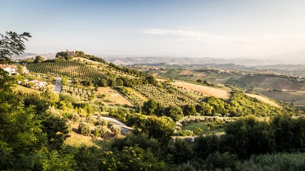 Sunset in the italian countryside — Stock Photo, Image