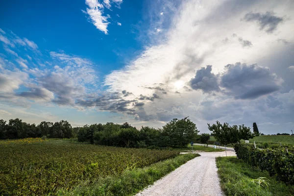 Tormenta sobre los campos — Foto de Stock