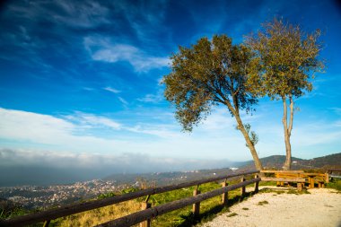 Trieste Körfezi sisli sabah