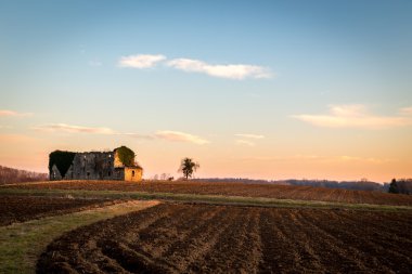 Kırsalda terk edilmiş bir çiftlik.