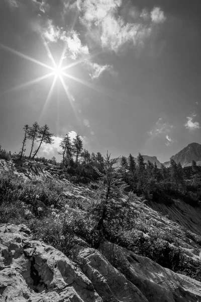 Bergstoppen i en sommardag — Stockfoto