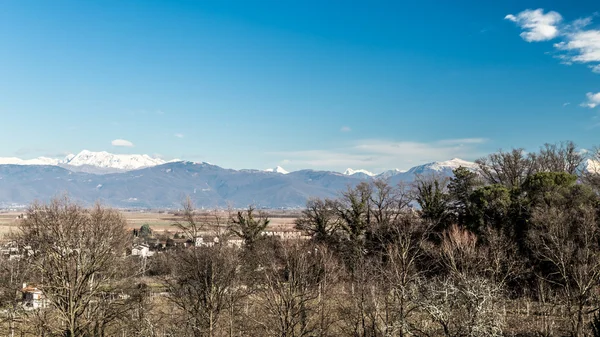 Vineyard in late winter — Stock Photo, Image