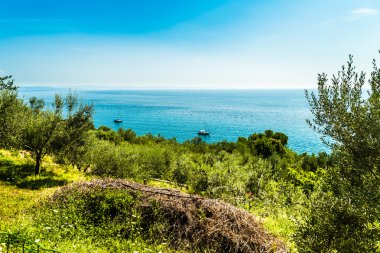 Yaz aylarında Trieste Körfezi