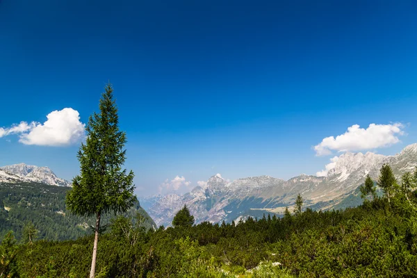 Mountain peak in a summer day — Stock Photo, Image