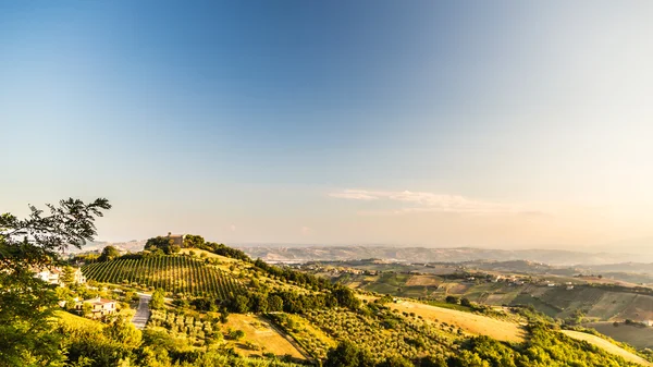 Sunset in the italian countryside — Stock Photo, Image