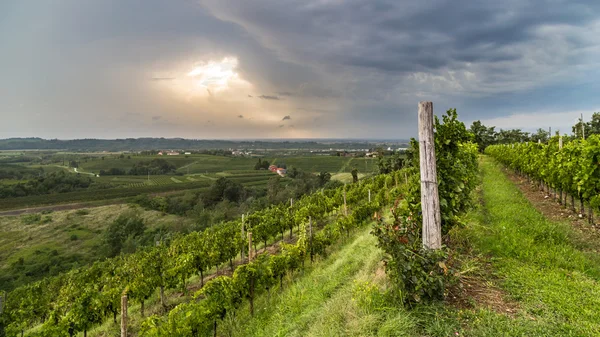 Tempestade sobre os campos — Fotografia de Stock