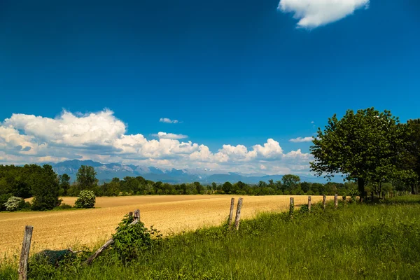 Fields of Italy in a spring day — Stock Photo, Image