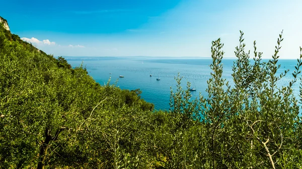 Verano en la bahía de Trieste — Foto de Stock