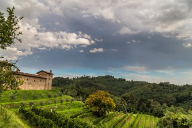 Kırsalda terk edilmiş bir çiftlik.