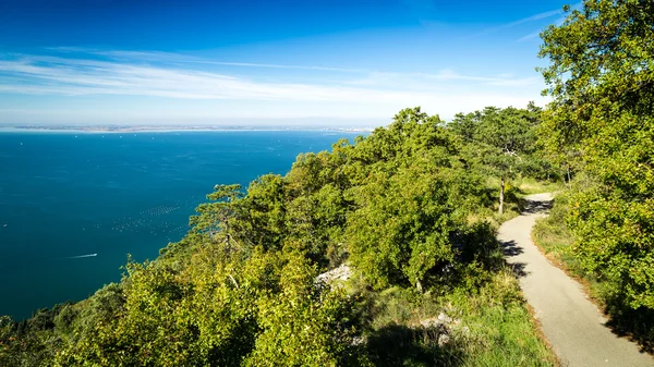 El golfo de Trieste en un día soleado — Foto de Stock