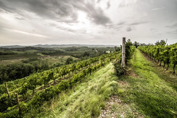 Storm over the fields — Stock Photo, Image