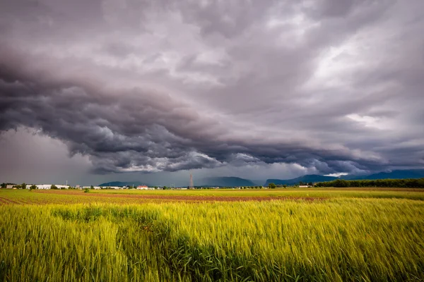 Bouře nad poli — Stock fotografie