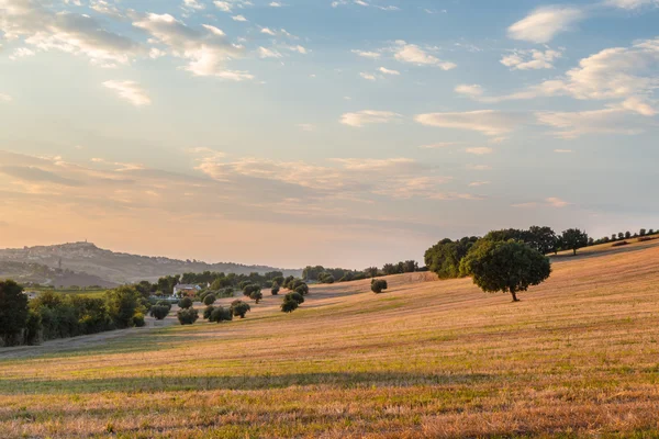 Sunset in the italian countryside — Stock Photo, Image