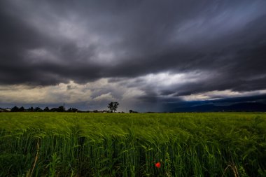 Tarlaların üzerinde fırtına