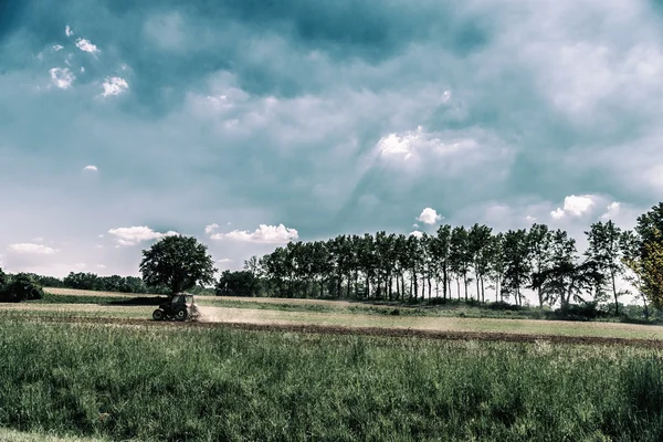 Çalışma alanında bulunan İtalyan kırsal — Stok fotoğraf