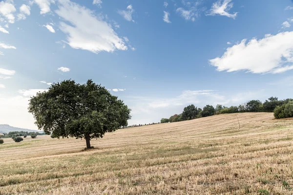 Puesta de sol en el campo italiano — Foto de Stock