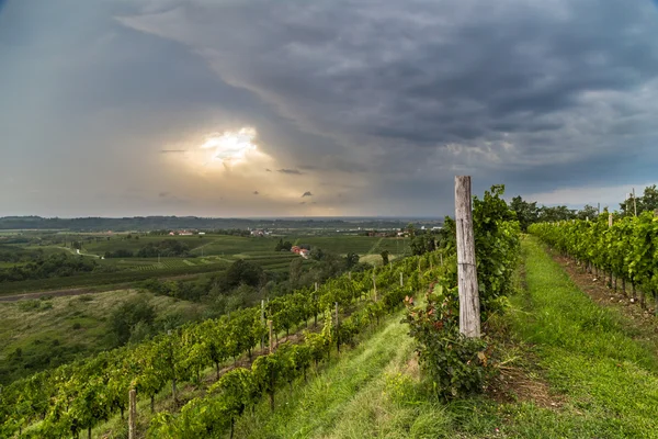 Sturm über den Feldern — Stockfoto