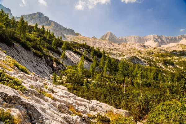 Гірський пік в літній день — стокове фото