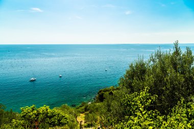 Yaz aylarında Trieste Körfezi