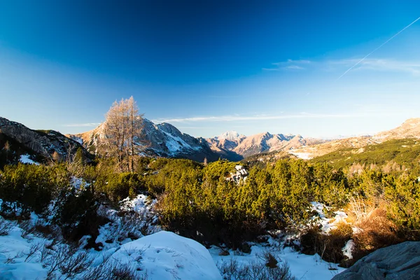 Dia de inverno nos alpes italianos — Fotografia de Stock