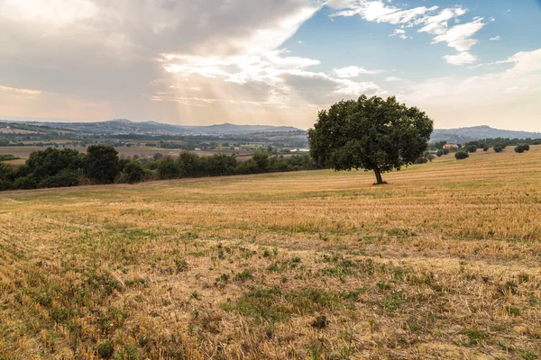 Puesta de sol en el campo italiano — Foto de Stock