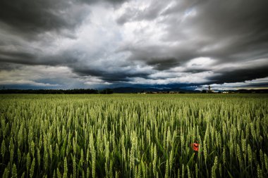 Ortaçağ Köyü üzerinde akşam fırtına