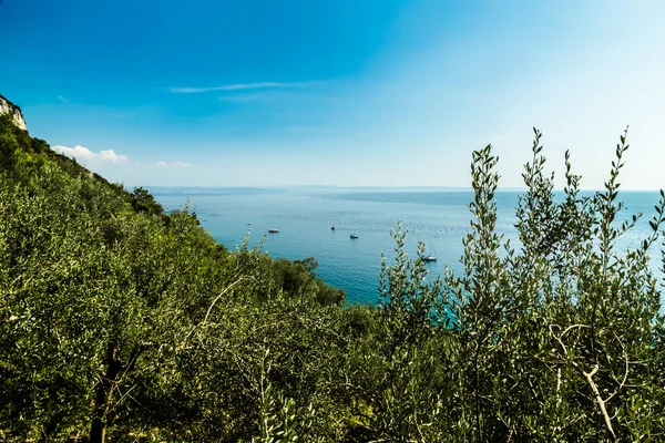 Summer in the bay of Trieste — Stock Photo, Image