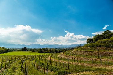 Alanları İtalya bir bahar günü '