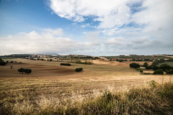 Zonsondergang op het Italiaanse platteland — Stockfoto