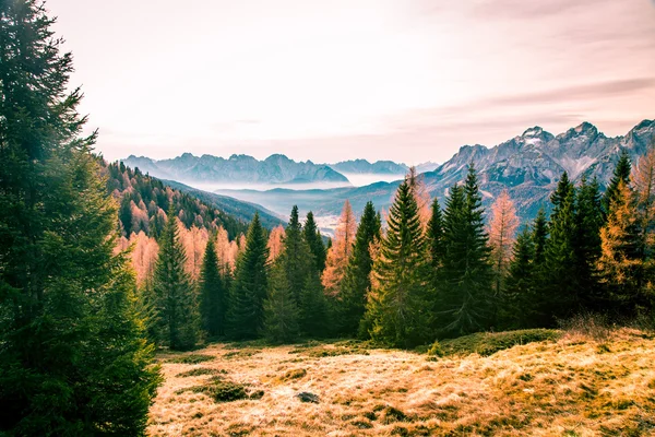 Herfst ochtend in de Alpen — Stockfoto