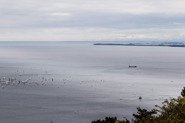Trieste Barcolana Regatta