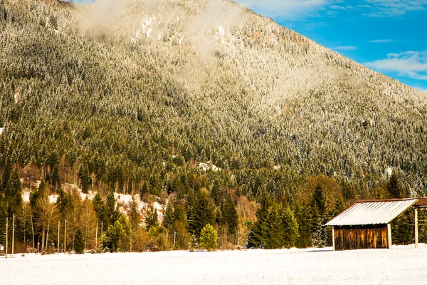 Première neige à la montagne — Photo