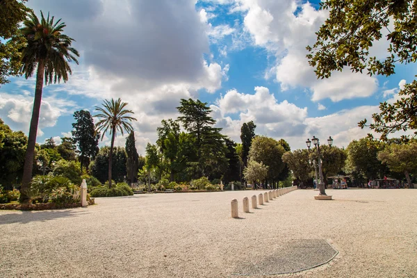 Palmy w ogrodzie Pincio w Rzymie — Zdjęcie stockowe