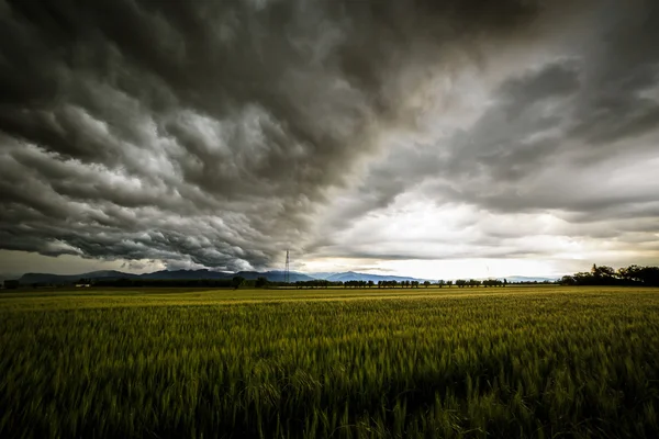 Sturm über den Feldern — Stockfoto