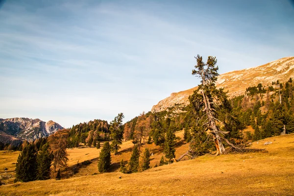 Herbstmorgen in den Alpen — Stockfoto