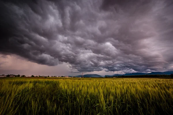 Sturm über den Feldern — Stockfoto