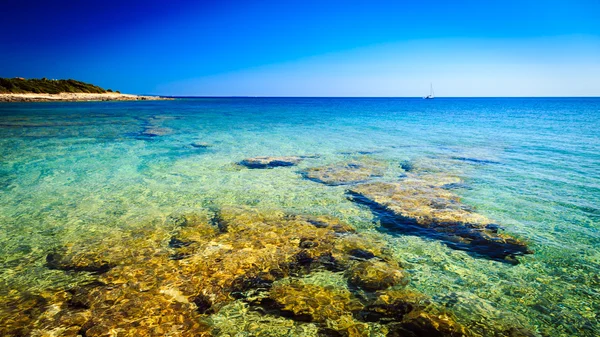 Journée d'été en Croatie Images De Stock Libres De Droits