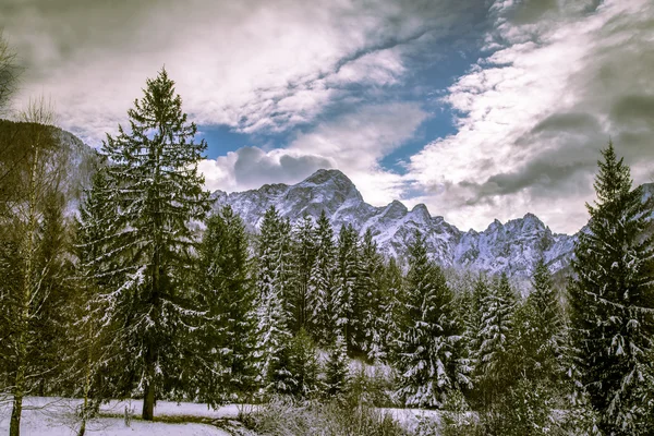 Primeira neve na montanha — Fotografia de Stock