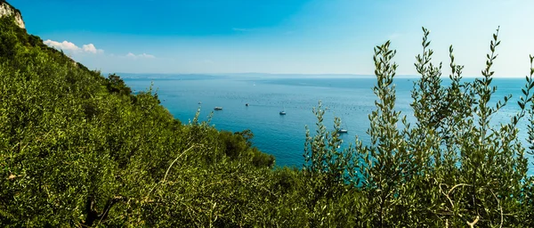 Verano en la bahía de Trieste — Foto de Stock