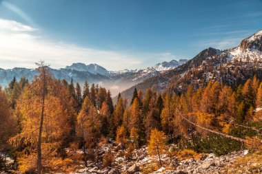 Ekim ayında Val Pesarina, Friuli-Venezia Giulia dağlarında yürüyüş.
