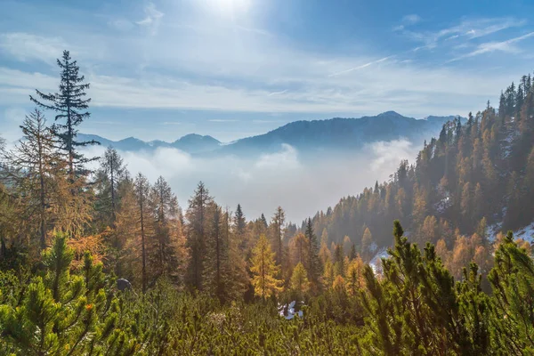 October Trekking Mountains Val Pesarina Friuli Venezia Giulia — Stock Photo, Image