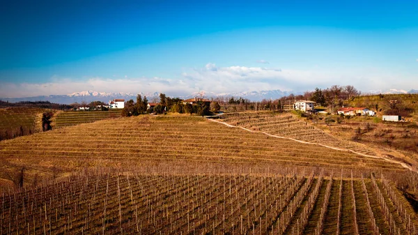 Pôr Sol Nos Campos Vinha Perto Abadia Rosazzo Collio Friuli — Fotografia de Stock