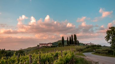 Güneş Friuli-Venezia Giulia, İtalya 'daki üzüm bağlarından batıyor.