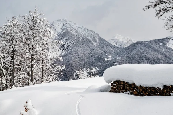 Julian Alps Depois Uma Grande Queda Neve Província Udine Região — Fotografia de Stock