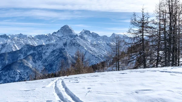 Toppen Tarvisio Italienska Alperna — Stockfoto
